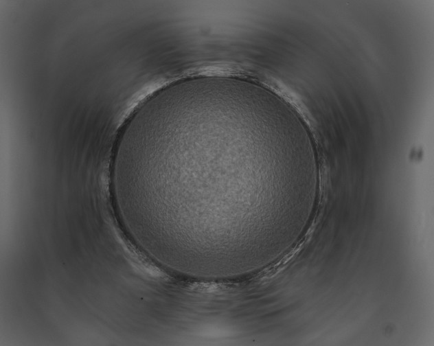 X0000091530297200708241718