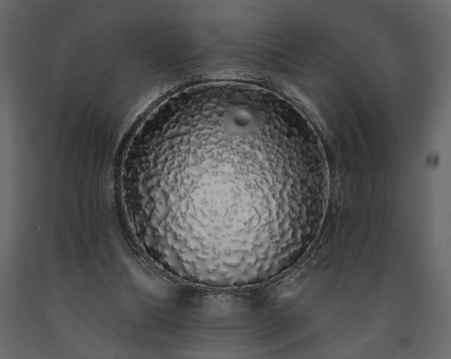 X0000091530298200708241718