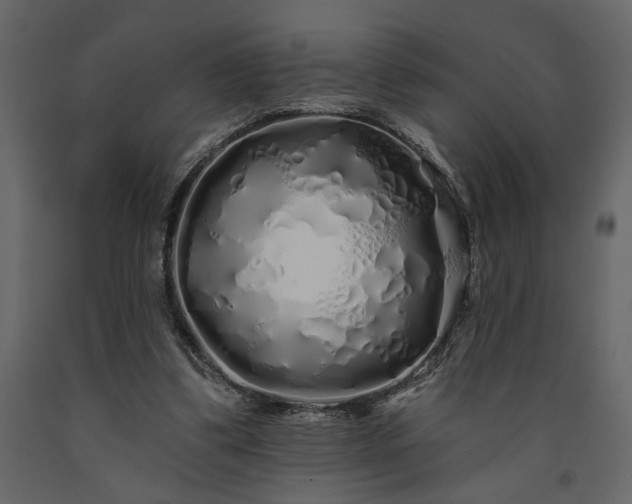 X0000091530299200708241718