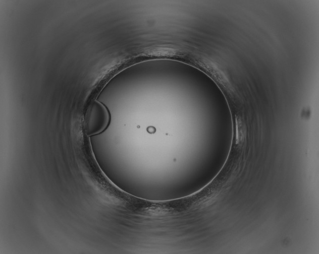X0000091530300200708241718