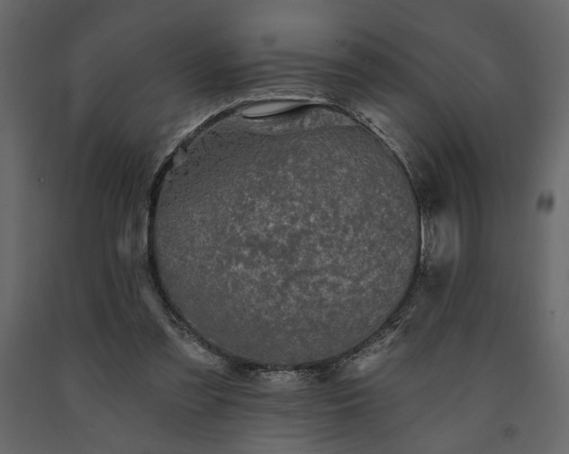 X0000091530301200708241718