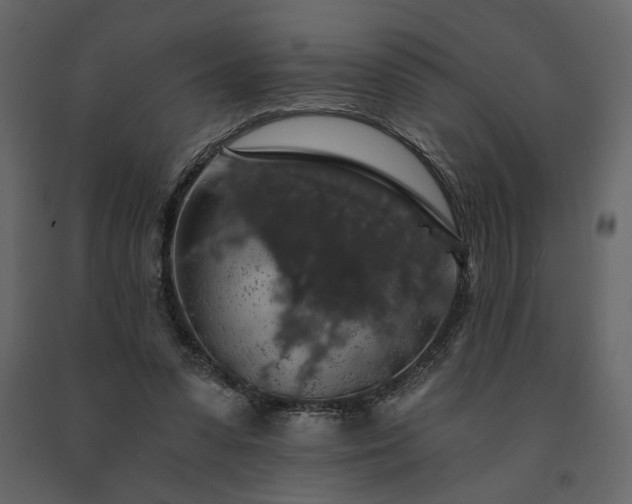 X0000091530303200708241718