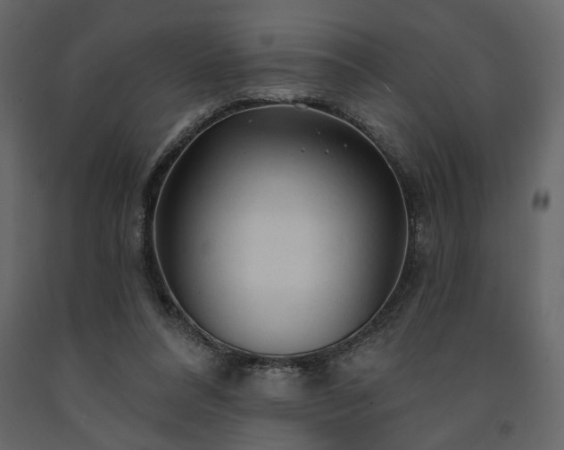 X0000091530304200708241718