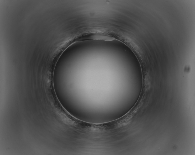 X0000091530305200708241718