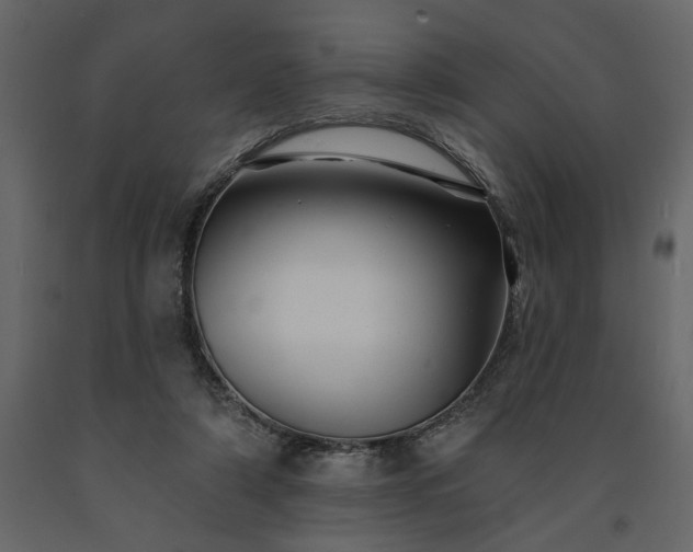 X0000091530306200708241718