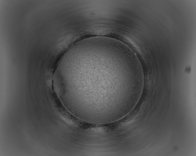 X0000091530307200708241718