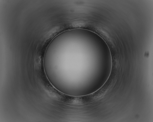 X0000091530308200708241718