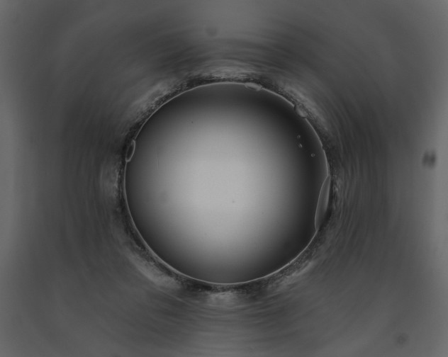 X0000091530309200708241718