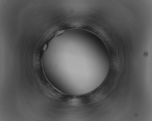 X0000091530312200708241717