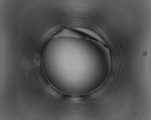 X0000091530313200708241717