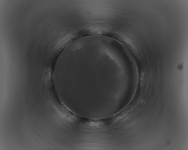 X0000091530314200708241717