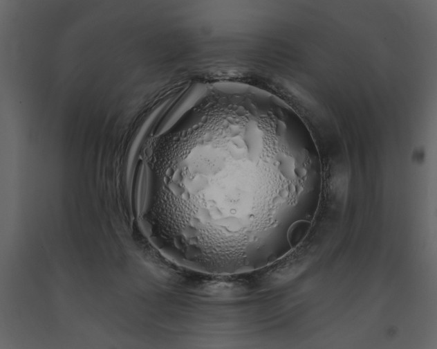 X0000091530315200708241717