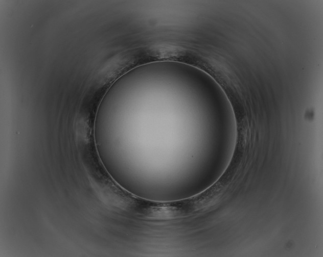 X0000091530316200708241717