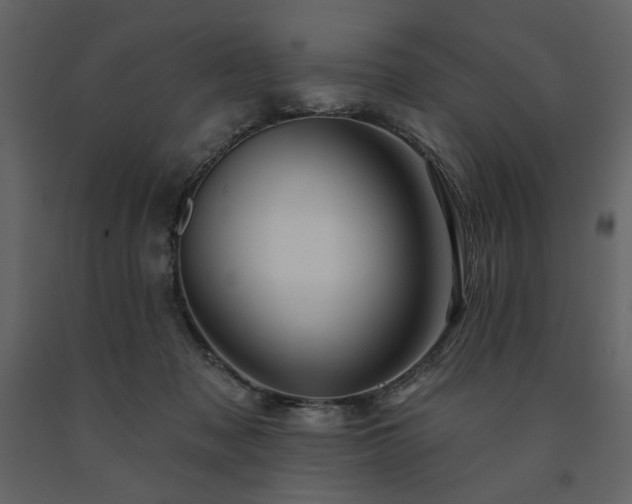X0000091530317200708241717