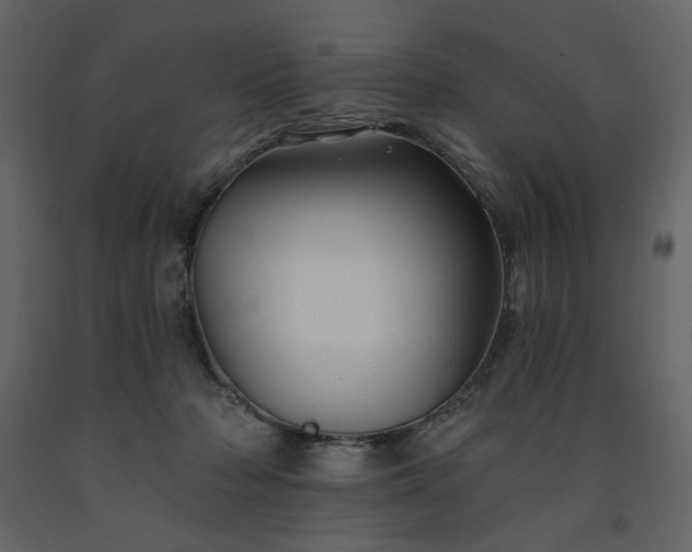 X0000091530318200708241717