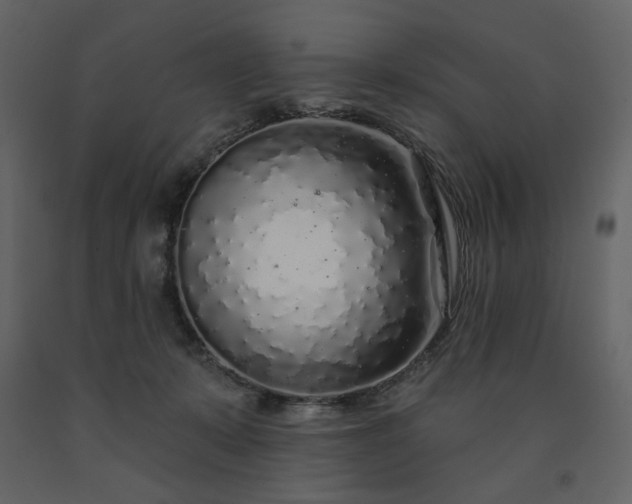 X0000091530319200708241717