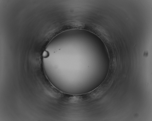 X0000091530320200708241717