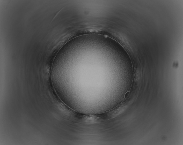 X0000091530321200708241717