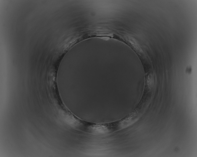 X0000091530322200708241717