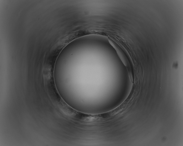 X0000091530323200708241717