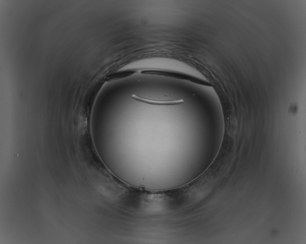 X0000091530324200708241717