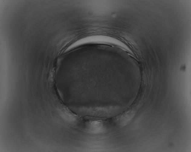 X0000091530325200708241717