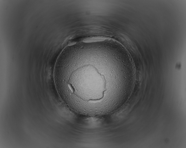 X0000091530326200708241717