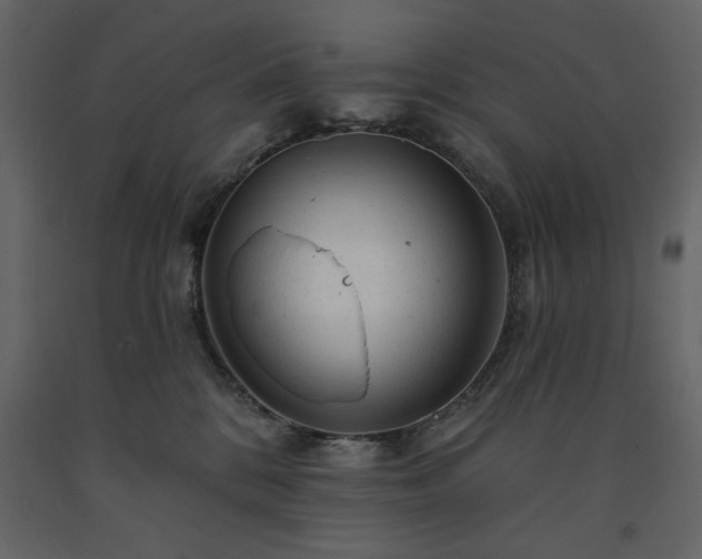 X0000091530328200708241717