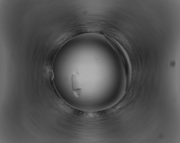 X0000091530329200708241717