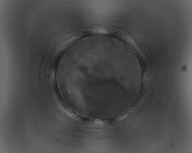 X0000091530330200708241717