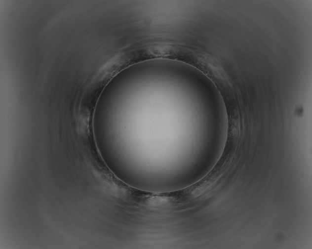 X0000091530332200708241717