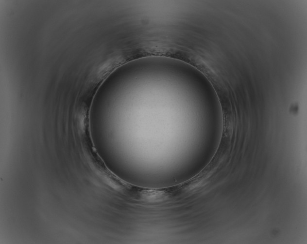 X0000091530334200708241717