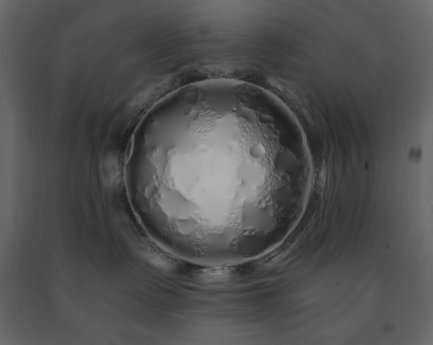 X0000091530335200708241717