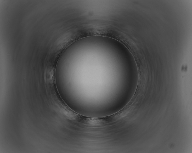 X0000091530336200708241717