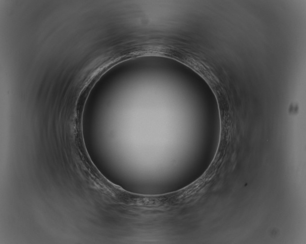 X0000091530338200708241716