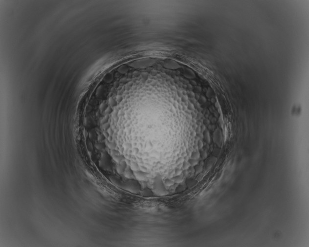 X0000091530339200708241716