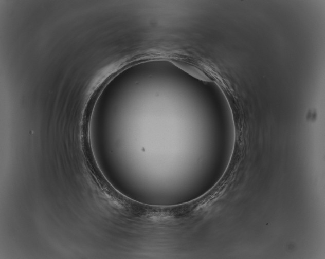 X0000091530340200708241716