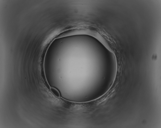 X0000091530341200708241716