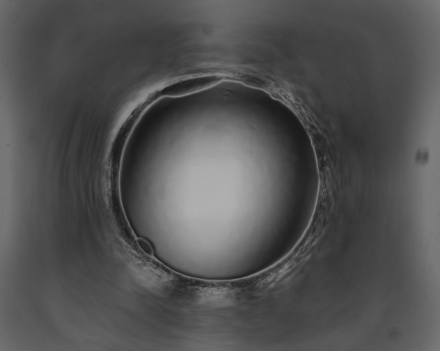 X0000091530342200708241716