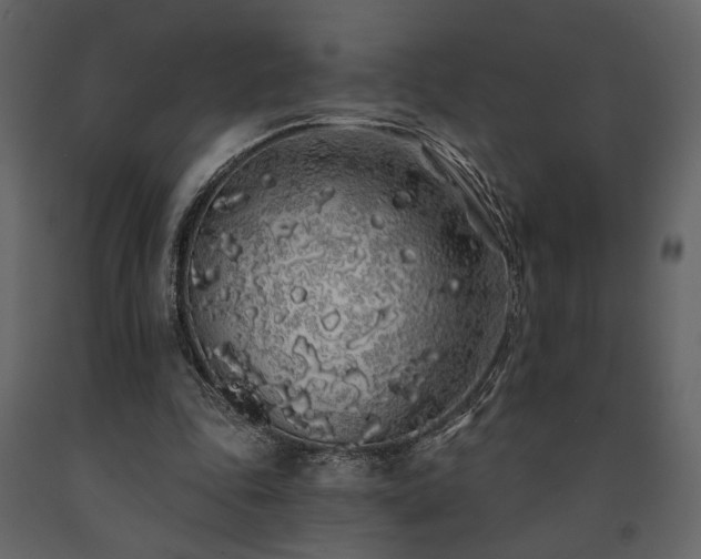 X0000091530343200708241716