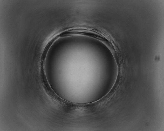 X0000091530344200708241716