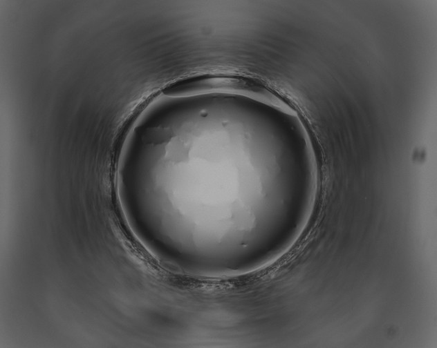X0000091530345200708241716