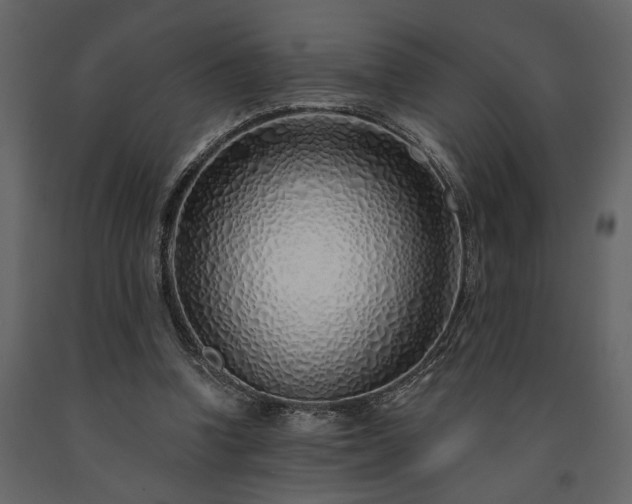 X0000091530346200708241717