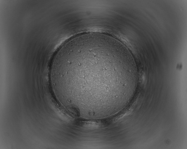 X0000091530347200708241717