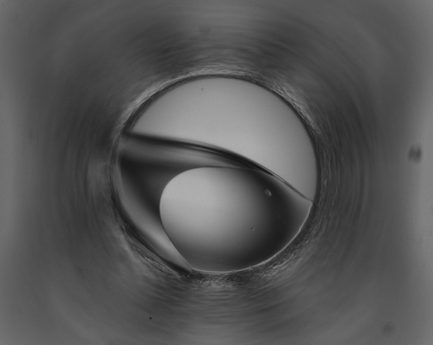 X0000091530348200708241717