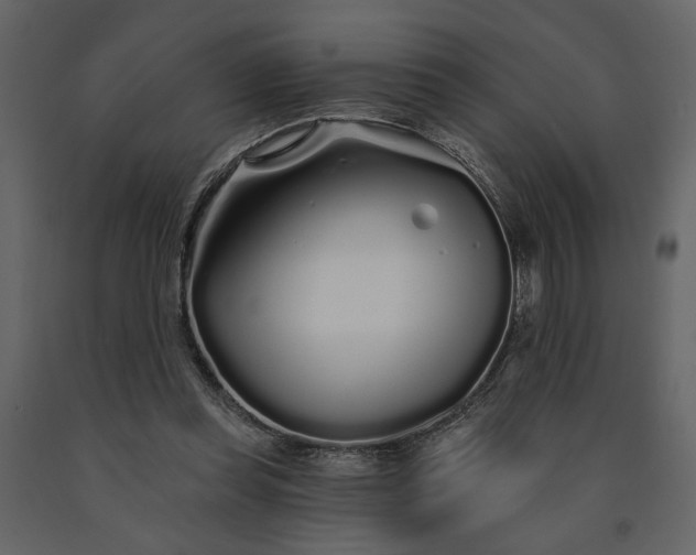 X0000091530349200708241717