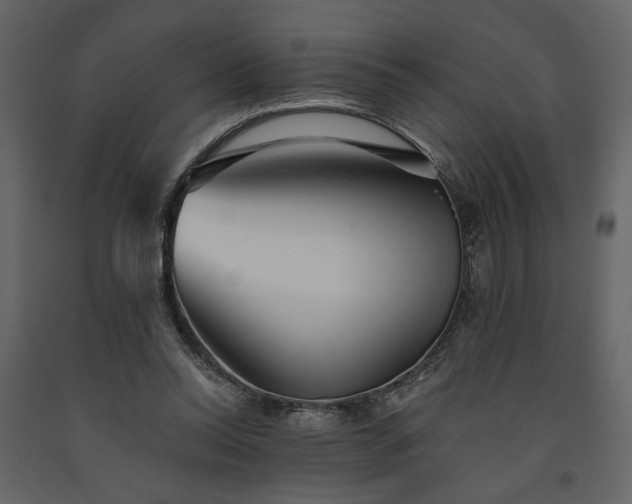 X0000091530350200708241717