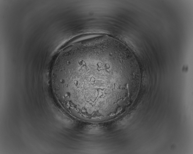 X0000091530351200708241717