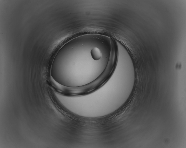 X0000091530352200708241717