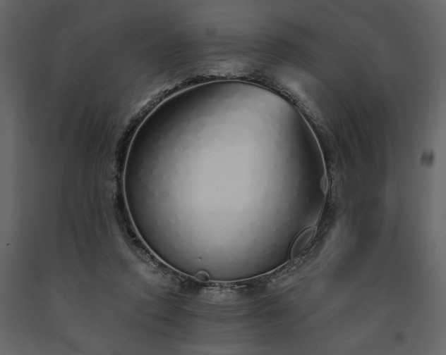 X0000091530354200708241717